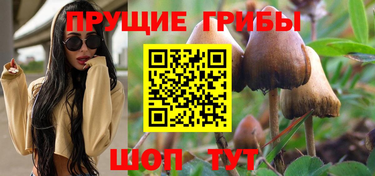 Тверь  Галлюциногенные грибы Psilocybine cubensis  Псилоцибиновые грибы Magic Shrooms  наркошоп  Вход с VPN 